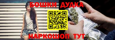 тгк Обь