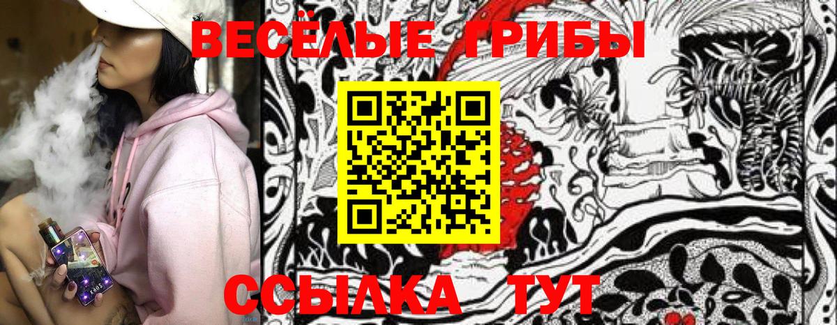 Спасск-Дальний  хочу   Вход с VPN  Псилоцибиновые грибы MAGIC MUSHROOMS 